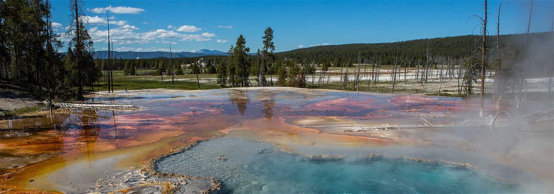 Yellowstone National Park туристы