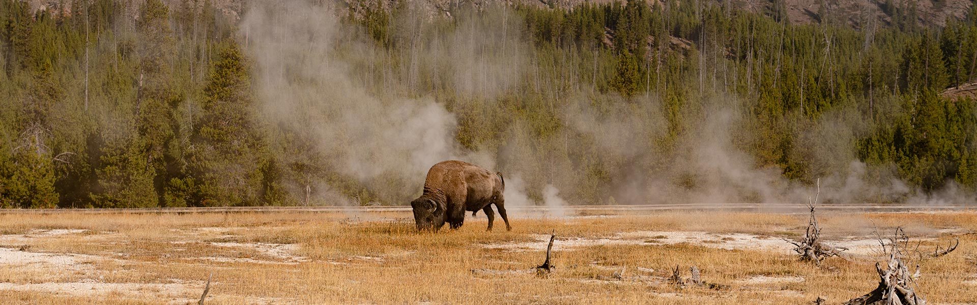 Yellowstone Events Lodging at Yellowstone Yellowstone Calendar